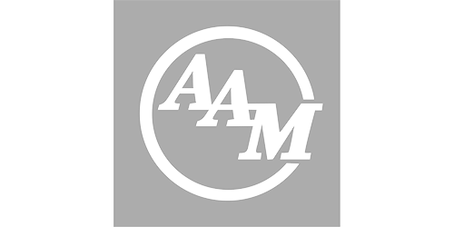 Automotive Referenz AAM Logo des Kunden AAM.